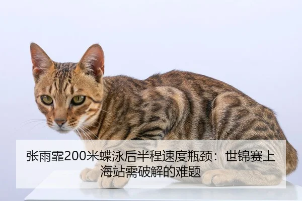 zhang-yu-fei-mi-die-yong-hou-ban-cheng-su-du-ping-jing-shi-jin-sai-shang-hai-zhan-xu-po-jie-de-nan-ti-2-448.jpg